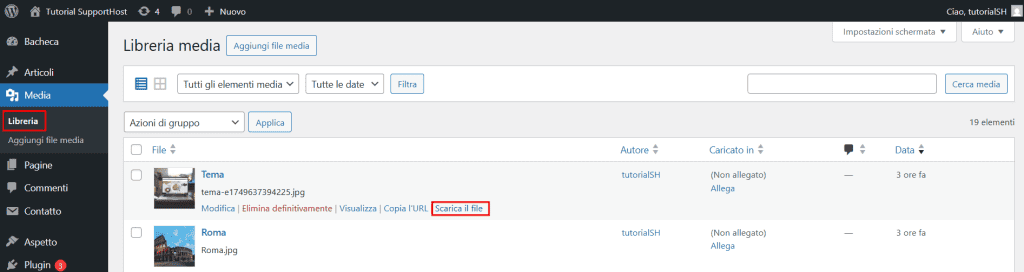Scaricare Singoli File Da Libreria WordPress