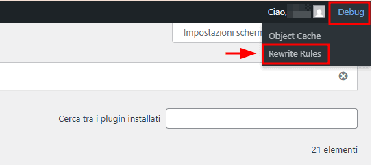 Accedere Debug Bar Rewrite Rules