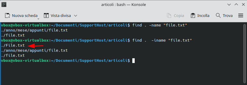 Comando Find Linux Trova Corrispondenza Nome Opzione Iname