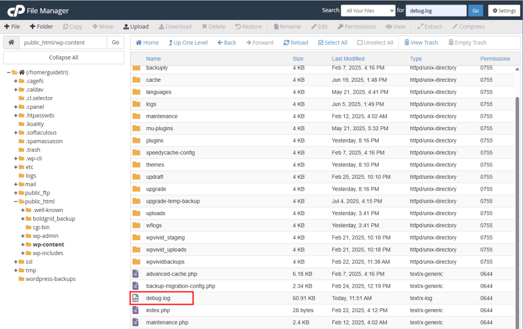 Debug Log Wp Admin