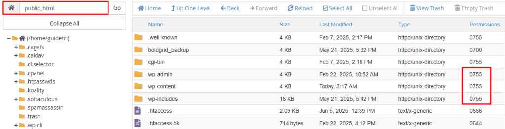 Permessi Public Html 755