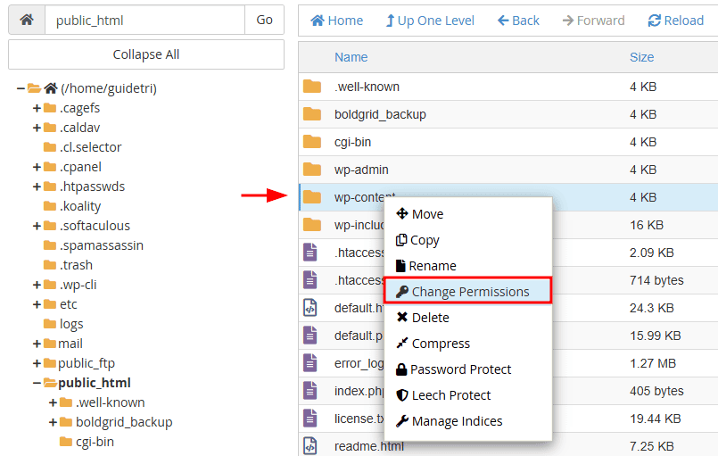Permessi Wp Content File Manager
