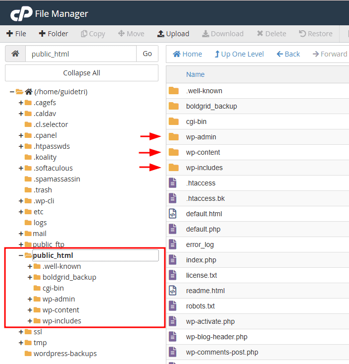 Risolvere Errori 404 Root WordPress Permessi
