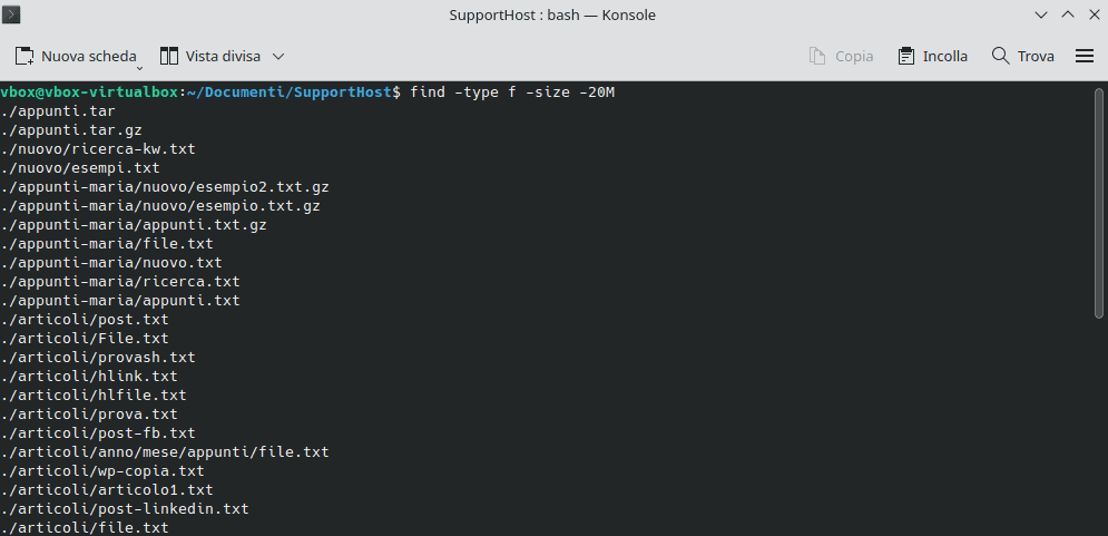 Trovare File Dimensione Massima Find