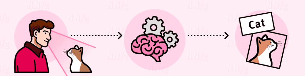 Picture Superiority Effect