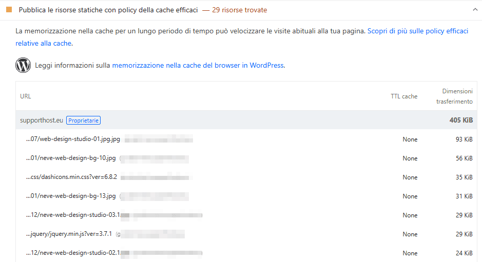 Pubblica Risorse Statiche Con Policy Cache Efficaci Pagespeed Insights