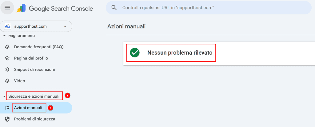 Search Console Azioni Manuali