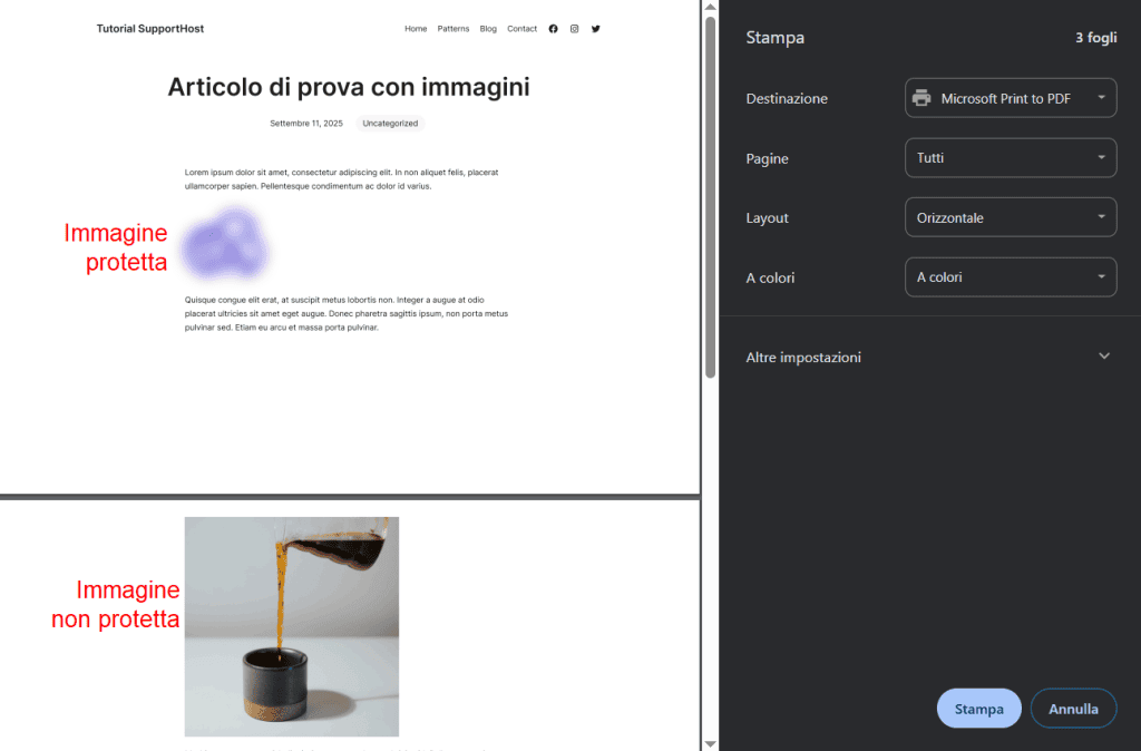 Anteprima Di Stampa Protezione Immagini Selective Image Guard