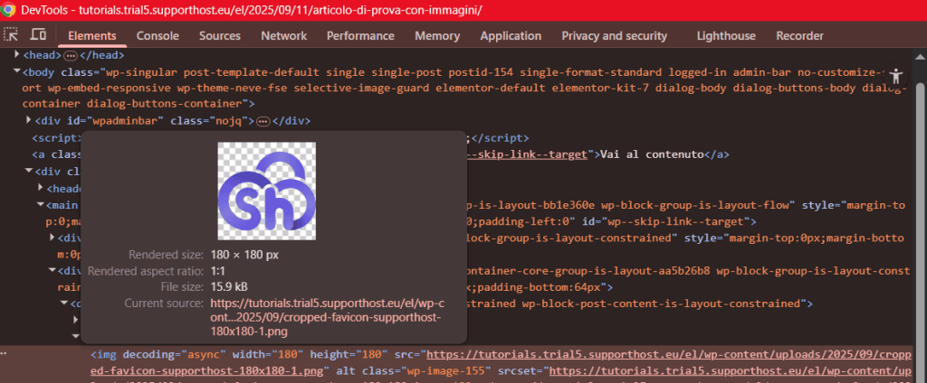 Devtools Prima Della Protezione