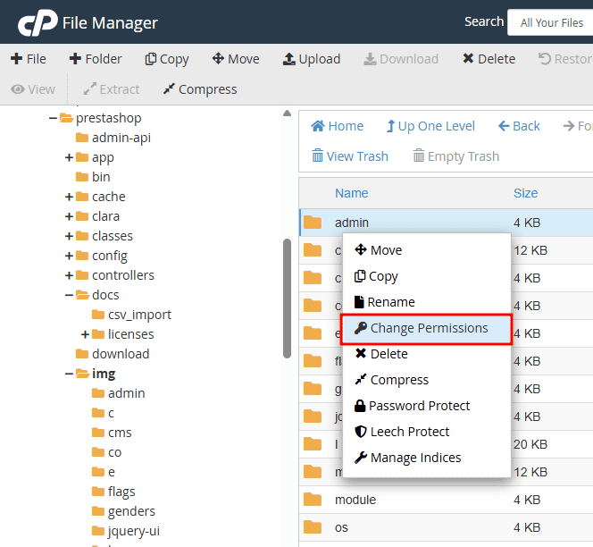 File Manager Change Permissions