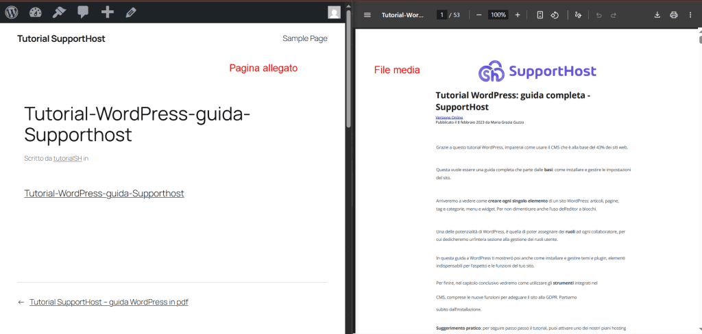 Differenze Pagina Allegato File Media Pdf