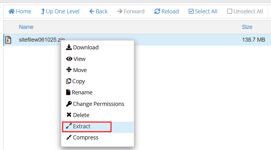 Estrarre Zip Clonare Sito Wp