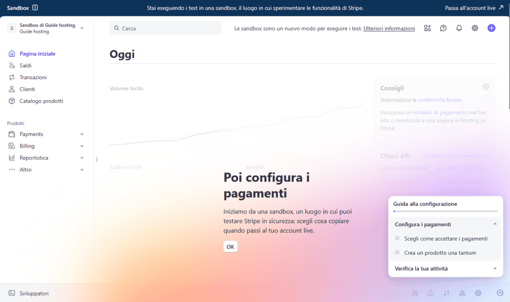 Stripe Dashboard Sandbox