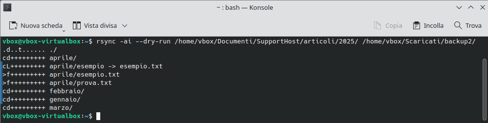 Comando Rsync Dry Run