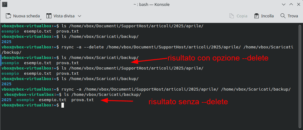 Comando Rsync Funzionamento Opzione Delete