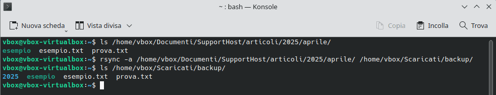 Comando Rsync Opzione A