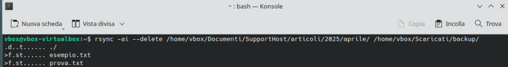 Comando Rsync Opzione I