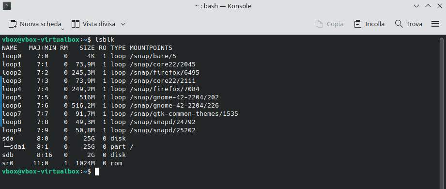 Elencare Dispositivi Con Lsblk