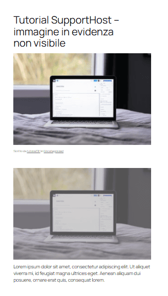 Immagine In Evidenza WordPress Duplicata