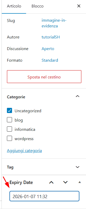 Funzione Scadenza Articoli Plugin Auto Post Expire