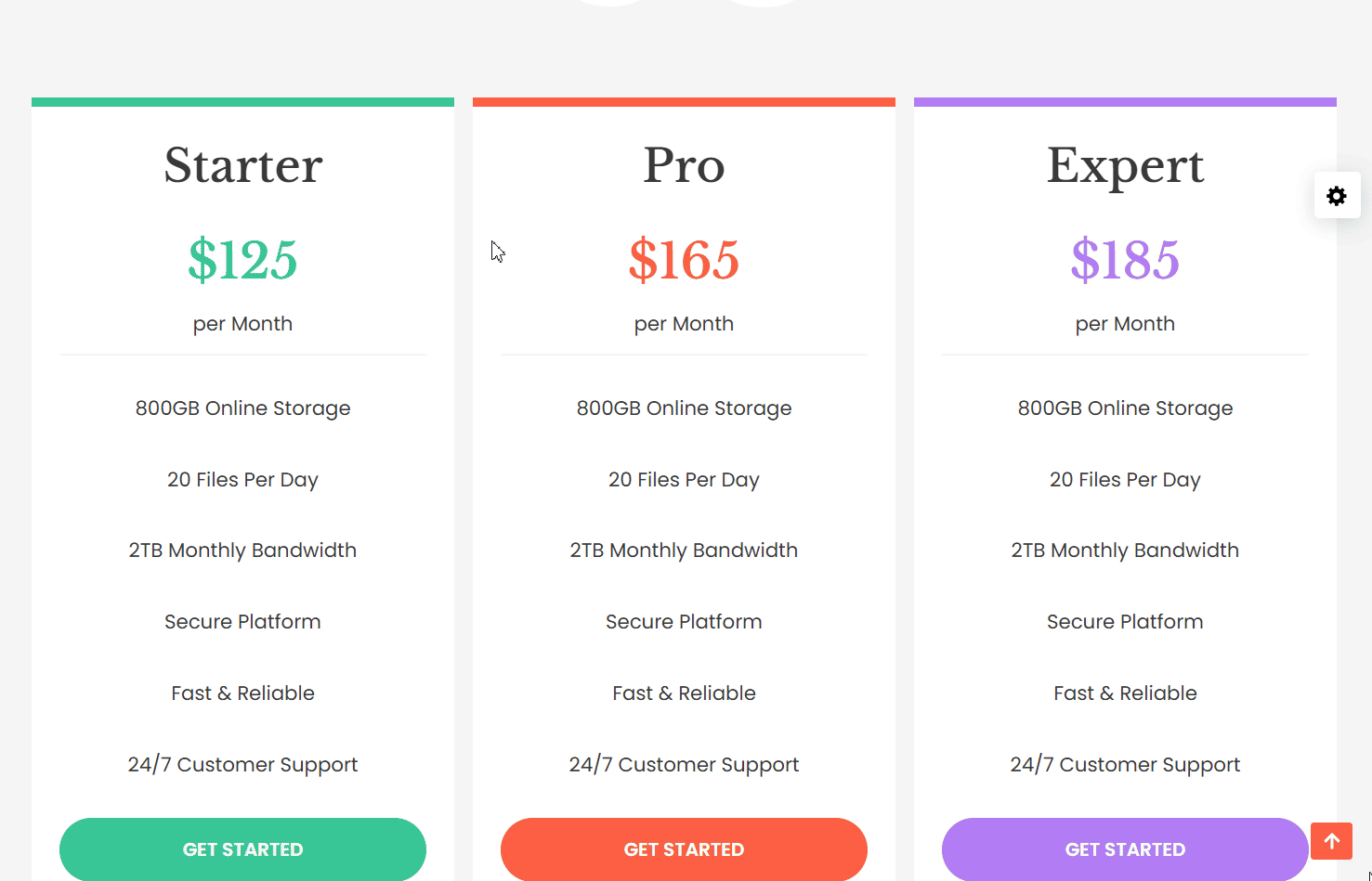 Layout Pagina Singola Neve Template