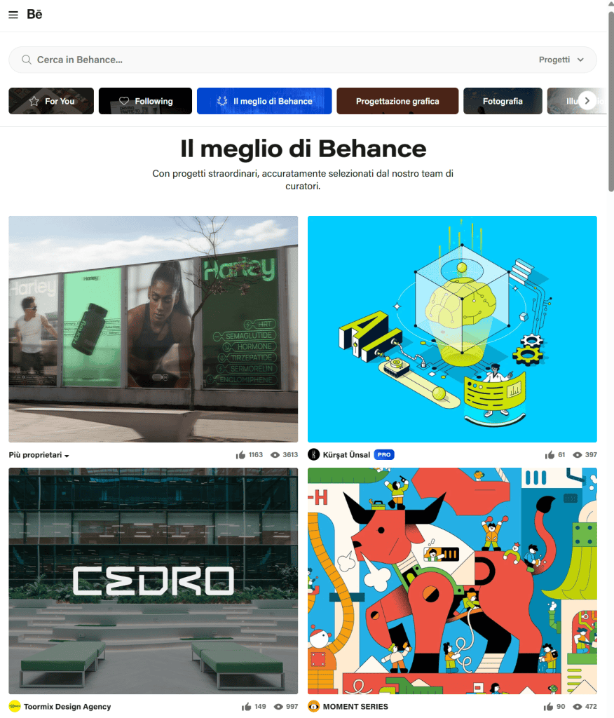 Layout Portfolio Behance