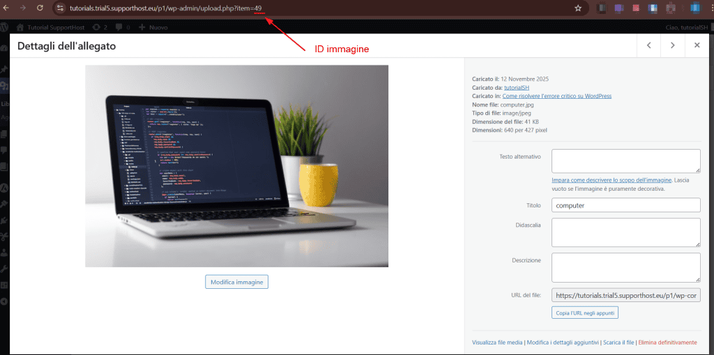 Trovare Id Immagini WordPress Libreria Media