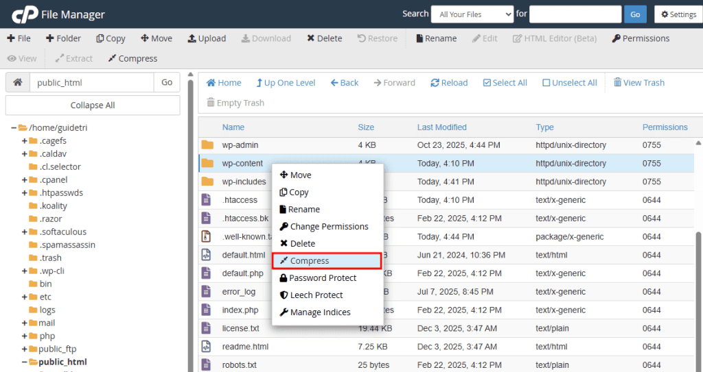 Wp Content Comprimere Copia Esportazione