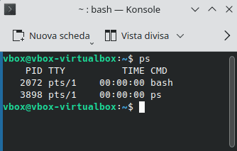 Comandi Gestione Processi Output Comando Ps Linux