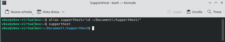 Creare Alias Temporaneo Linux