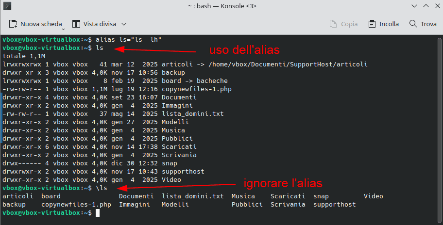 Ignorare Alias Terminale Linux
