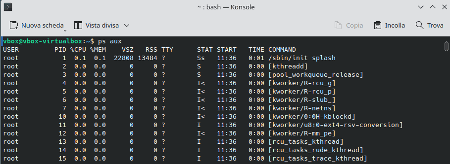 Output Comando Ps Aux