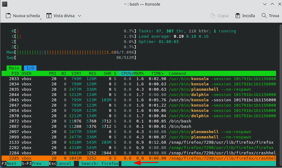 Ricerca Con Comando Htop