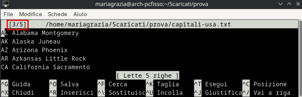 Aprire File Multipli Nano Editor