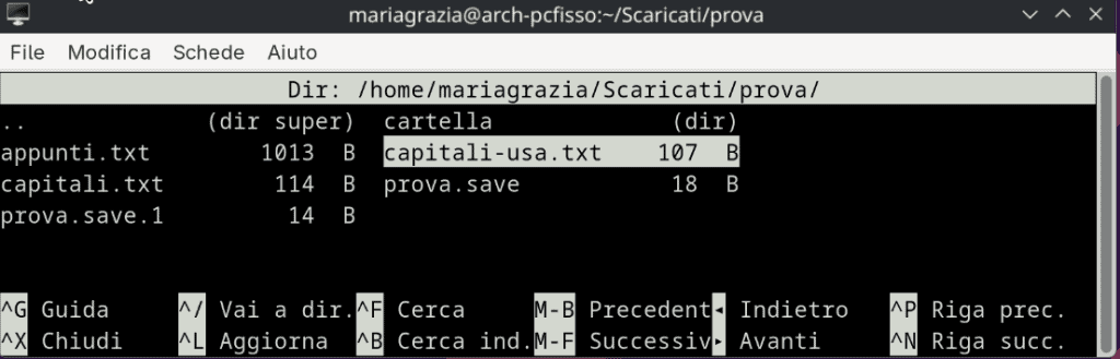 Aprire File Multipli Nano Sfoglia File