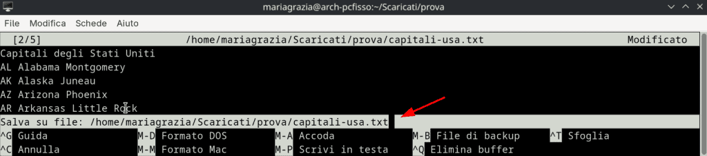 Come Salvare File Nano Editor