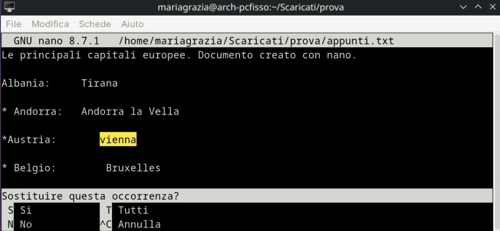 Conferma Sostituzione Parola Nano