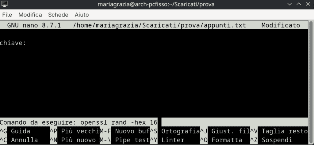 Copiare Output Comando Nano