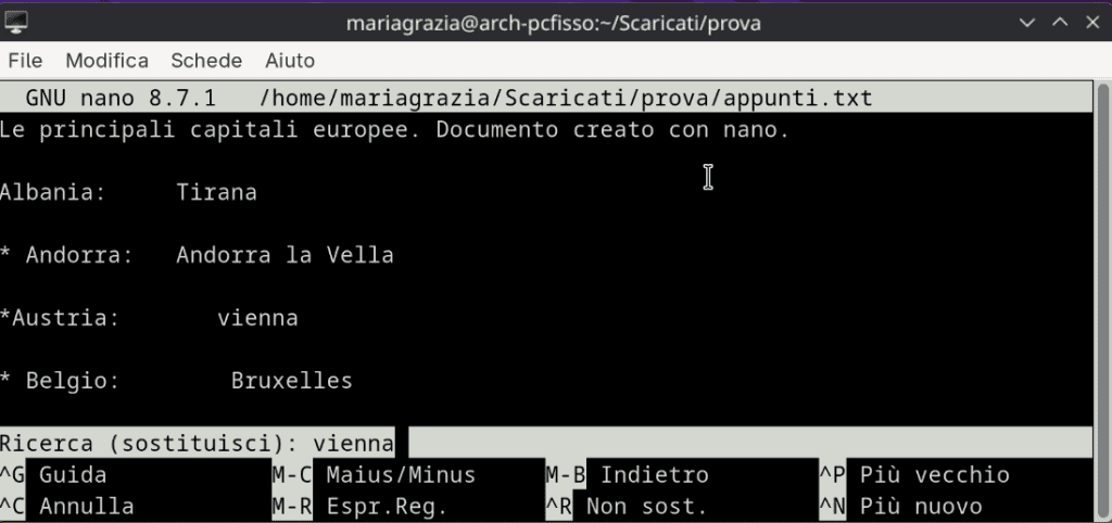 Editor Nano Cerca Sostituisci Primo Passo