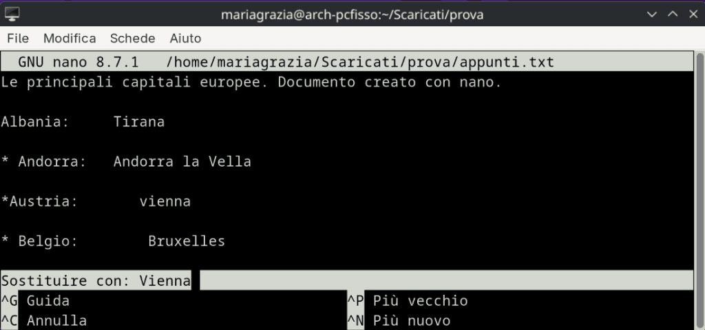 Editor Nano Cerca Sostituisci Secondo Passo