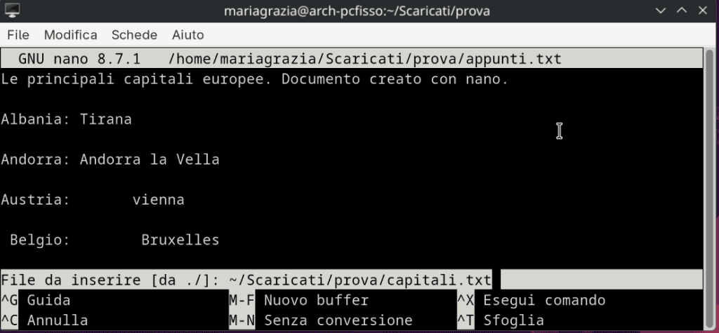 Inserire File In Altro File Nano