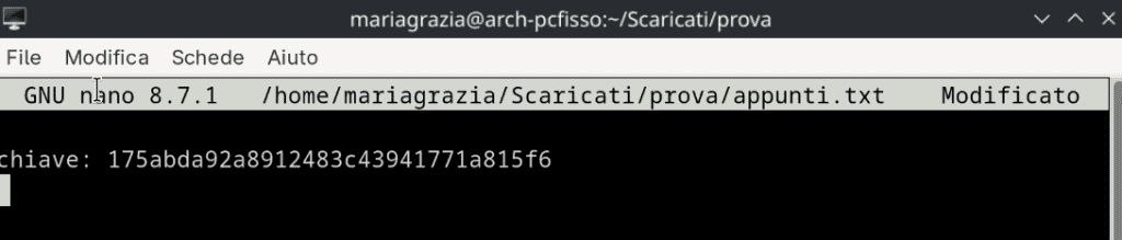 Output Inserito Nel File Nano