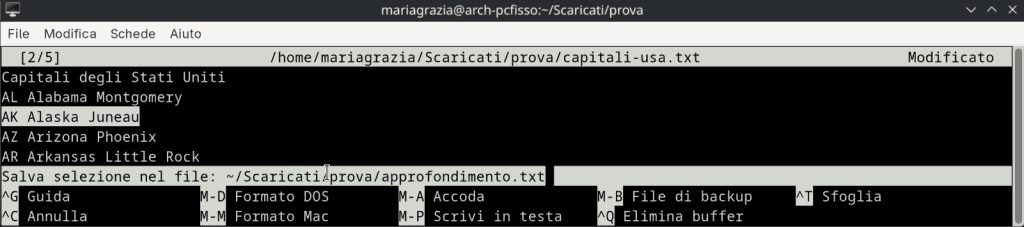 Salvare Selezione Testo In Nuovo File Nano