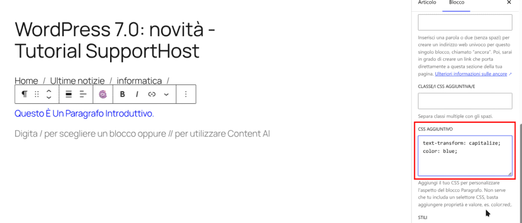 Css Aggiuntivo Blocco WordPress 7