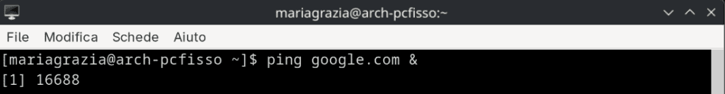 Eseguire Comandi in Background Linux