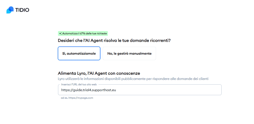 Tidio Domande Ricorrenti