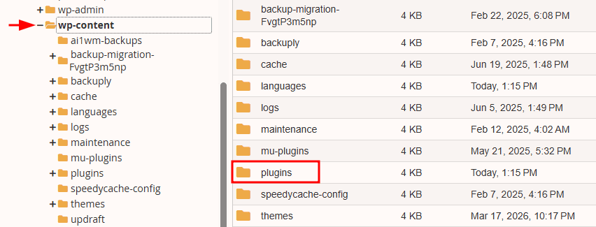 Cartella Plugins Gestore File