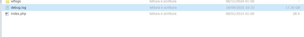 File Grande Debug Log WordPress