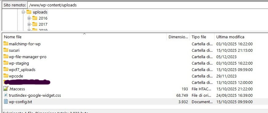 File Wp Config Estensione Txt