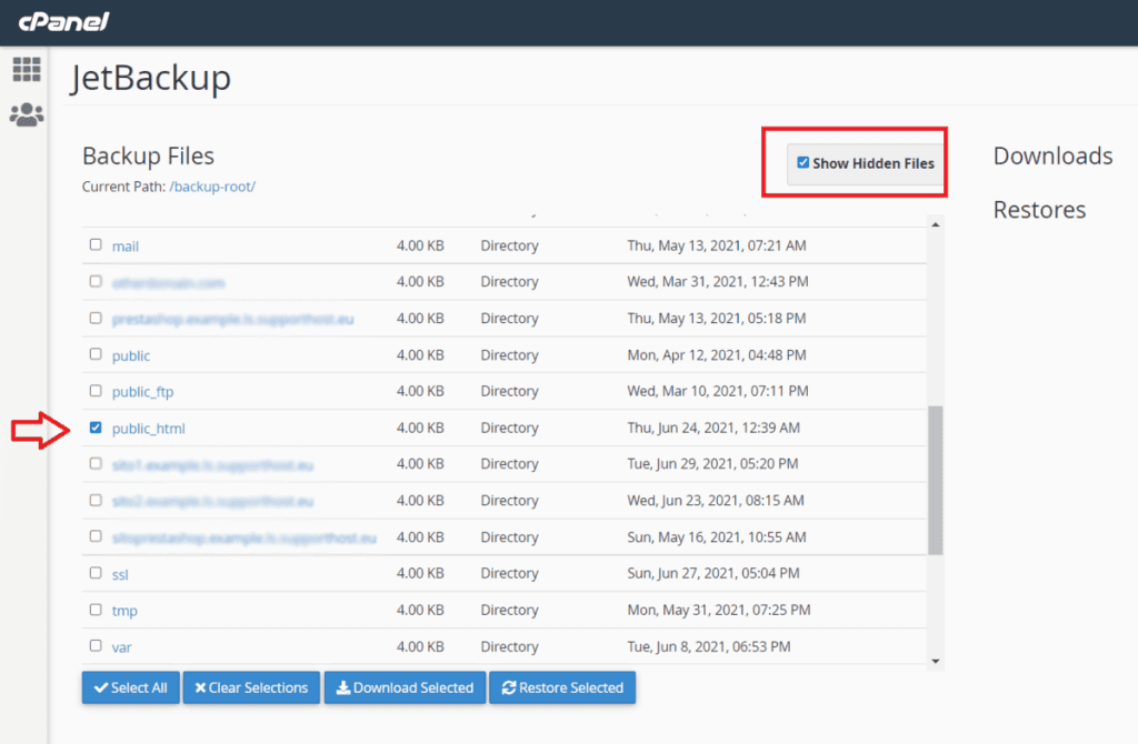 File Backups Download Or Restore Selected